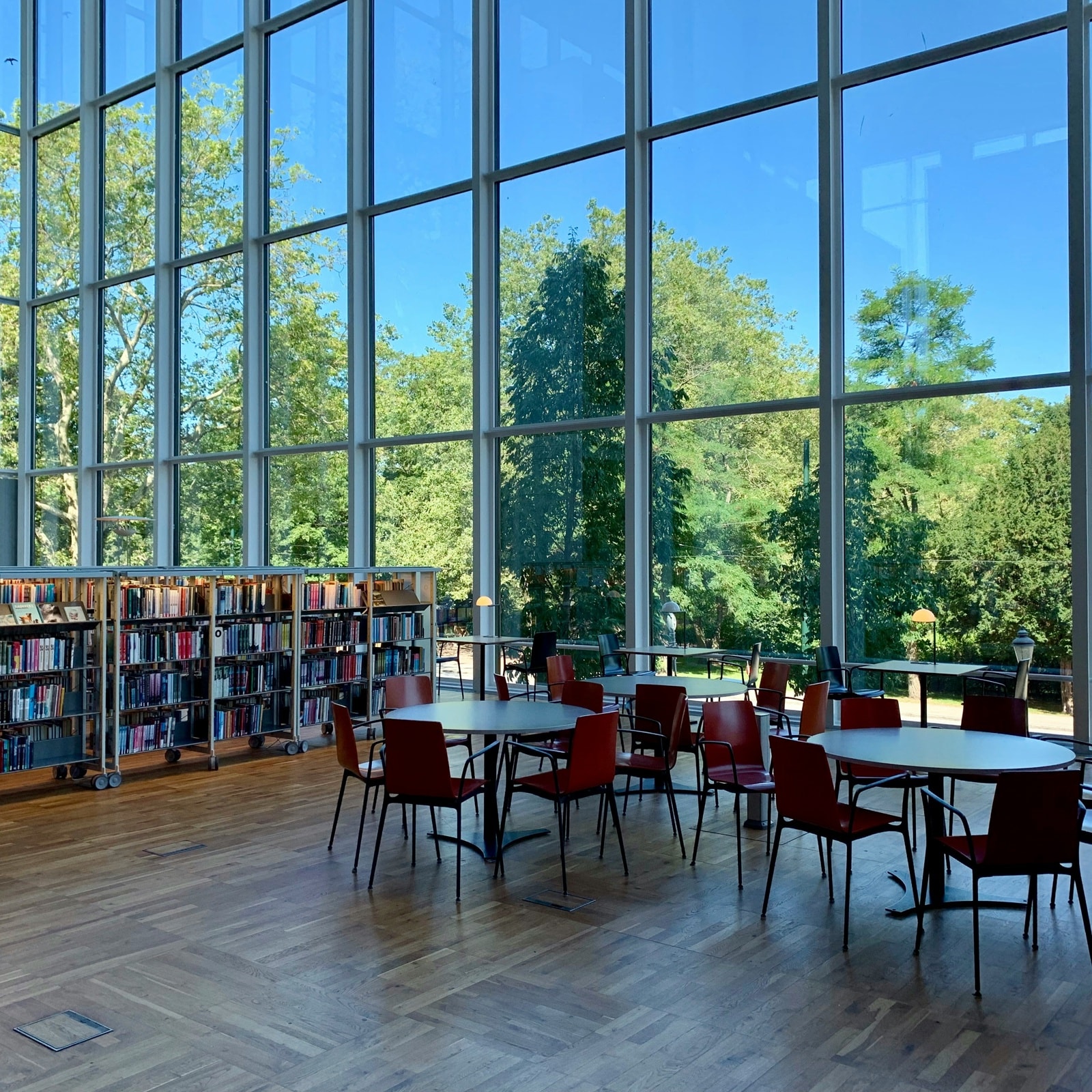 Light-filled library with bookshelves and shared study spaces